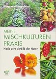 Image de Meine Mischkulturenpraxis: Nach dem Vorbild der Natur