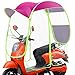 Produktbild ewby Elektroauto Sonnenschirm Baldachin Markise Regenschirm Komplett Geschlossen Rainproof Motorrad Windschutzscheibe Regen Transparent Umbrella Blue Without rain Curtain-Rear View Mirror