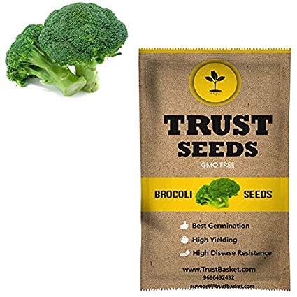 TrustBasket Brocoli Vegetable Seeds (Gmo Free)