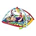 Baby Einstein Caterpillar and Friends Play Gym