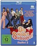 Die wilden Siebziger! - Die komplette 3. Staffel (2 Blu-rays) - Ashton Kutcher