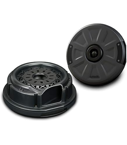 ETON RES10A Aktiv-Subwoofer 10 Zoll (25 Cm) - Reserverad-Subwoofer, 300W RMS, Für Den Kofferraum