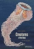 Creatures of the Deep: The Pop-up Book by