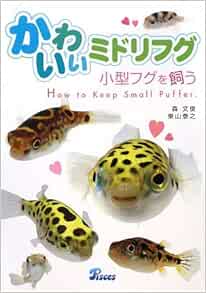 Amazon Fr かわいいミドリフグ 小型フグを飼う Livres