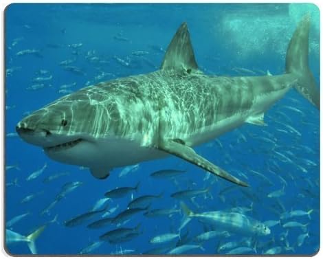 Animal Wildlife Great White Shark Ocean Predator Underwater Sea Jaws mouse pads with wrist rest mouse mat pink 7.5*9 inch