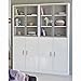 Produktbild Vitrine Regal mit Türen B 158 cm Holz Kinder Büro Wohn Jugendzimmer Ordner Aktenregal Aufbewahrung Stand CD Bücher Regalwand Vitrinenschrank