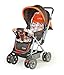 LuvLap Sunshine Baby Stroller (Orange) RS.2939.00