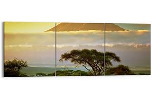 ARTTOR Cuadros Decoracion Salon Safari fauna montaña Kenia Lienzos decorativos 150x50cm Cuadro Sobre Lienzo Moderno Dormitorio Cuadros Pared Tríptico 3 Piezas Wall Art Prints Grande XXL CA150x50-3170