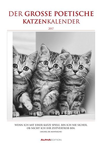 Der poetische Katzenkalender 2017 - Literarischer Bildkalender (24 x 34) - mit Zitaten - schwarz/weiß - Tierkalender 2017