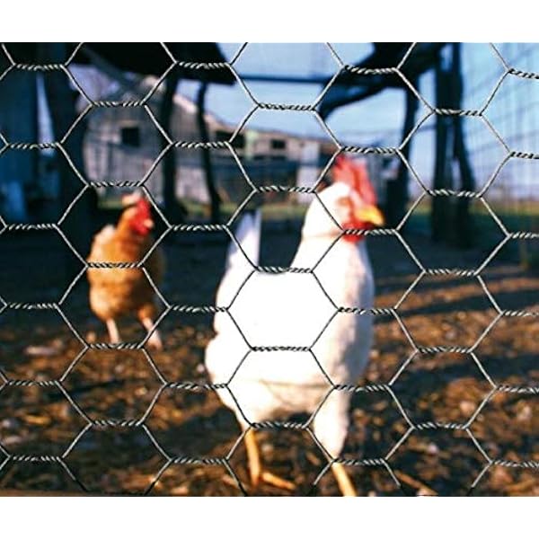 How To Attach Chicken Wire To Wood Frame Wire Fence atelieryuwa.ciao.jp