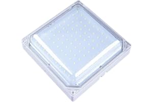 LYEAA LED Cold Storage Special Lamp IP67 Waterproof | -Proof Emergency Light for Low-Temperature Factory