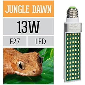 Ardacia AJD13 Jungle Dawn Lampe, 13 watt