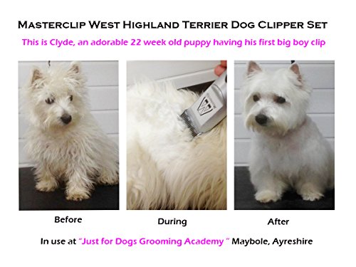 Professional-West-Highland-Terrier-Westie-Dog-Clippers-Set-by-Masterclip-Pet-Grooming-Clipper-Trimmer-Supplies