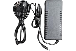 Vidoelettronica® Alimentatore 12V 10A Trasformatore 120W, Utilizzato per Spina di Alimentazione 12V per Notebook, Striscia LED, Schermo TFT-LCD, Radio, Nas, HD Esterno, Router, Hub, Switch, ECC.