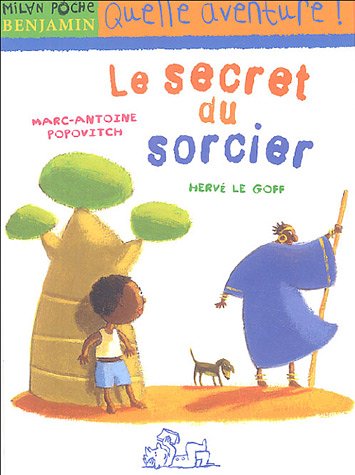 couverture de : Le secret du sorcier