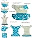 LittleBloom, Reusable Pocket Cloth Nappy, Fastener: Popper, Set of 1, Pattern 67, With 2 Microfibre Inserts, (see "Special Offers and Product Promotions" for Special Offers Detail)