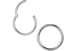 ZS 2Pcs ASTM F136 Titanium 6/7/8/9/10/12/14mm Cartilage Tragus Helix Earring Hoop 20G 18G 16G Lip Rings Nose Rings Septum Conch Piercings Jewellery