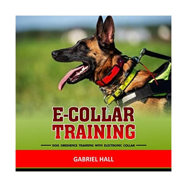 ECollar Training Dog Obedience Training with Electronic Collar Dogs.co.uk