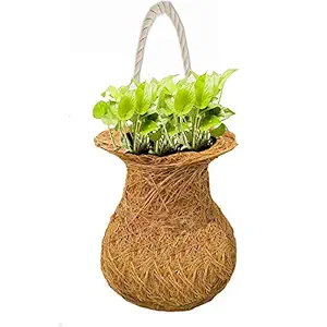 LIVEONCE Coir Wall Planter Pot, Brown, 25 cm x 7 cm, 1 Piece