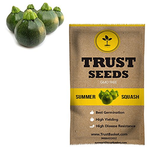 TrustBasket Premium Vegetable Summer Squash - Chappn Kaddu Seeds (Hybrid) | Sow and Grow Fresh Healthy Seed in Your Garden Perfect for Home & Terrace Gardening High Germination Seeds