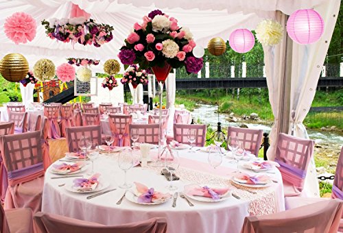 Paxcoo 22 Pcs Pink Gold Tissue Pom Poms Blumen Papier Laternen Polka Dot Girlande für Geburtstag Baby Dusche Dekorationen - 9