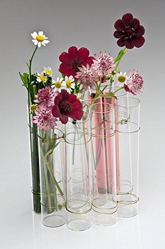 Glasvase TEST TUBE, 14 cm, 6 Stück im Set von Sandra Rich