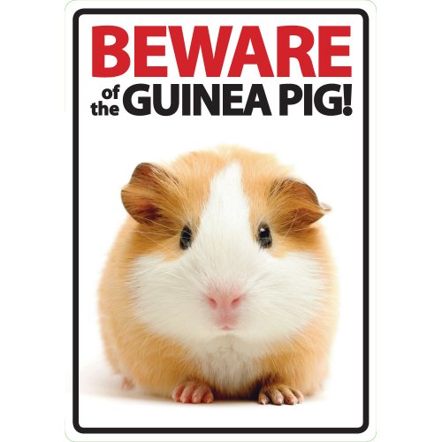 Magnet & Steel Beware of The Guinea Pig A5 - Placa Decorativa