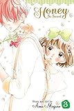 Honey So Sweet Volume 3 by Amu Meguro
