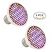 Produktbild BeiLan 2 stücke 10W 106 LEDs E27 Pflanzen wachsen Glühlampe rot / blaue Beleuchtung wachsende Lampe Birnen für Garten Gewächshaus Hydroponic organische Indoor Gemüse Veggies Blumen