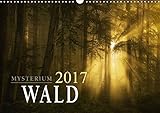 Image de Mysterium Wald (Wandkalender 2017 DIN A3 quer): Der Wald im Wechsel der Jahreszeiten (Monatskalender