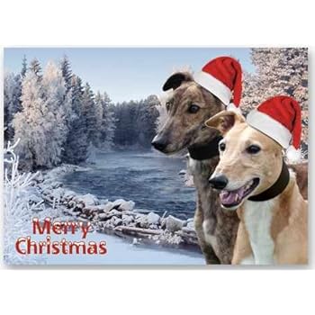 Greyhound Christmas Card Xmas racing dog cards: Amazon.co.uk: Office