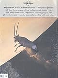 Image de Wild World - 1ed - Anglais