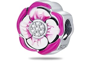 Pandach Amour Cœur Perles Charms Argent Sterling 925 Breloque Bead Compatible pour Européen Bracelets