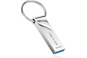 dolrun USB Stick 3.0 512GB - Speicherstick USB-Stick Metall Datenspeicher USB-Flash-Laufwerk mit Schlüsselring USB 3.0 für Laptop, Auto, PC, Computer