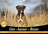Gut - besser - Boxer (Wandkalender 2018 DIN A3 quer): Boxer, einzigartige Hunde (Monatskalender, 14 Seiten ) (CALVENDO Tiere) [Kalender] [Apr 13, 2017] Janetzek, Yvonne by 