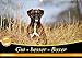 Gut - besser - Boxer (Wandkalender 2018 DIN A3 quer): Boxer, einzigartige Hunde (Monatskalender, 14 Seiten ) (CALVENDO Tiere) [Kalender] [Apr 13, 2017] Janetzek, Yvonne by 