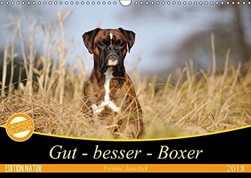 Gut - besser - Boxer (Wandkalender 2018 DIN A3 quer): Boxer, einzigartige Hunde (Monatskalender, 14 Seiten ) (CALVENDO Tiere) [Kalender] [Apr 13, 2017] Janetzek, Yvonne