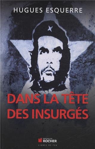 Dans la tÃªte des insurgÃ©s francais