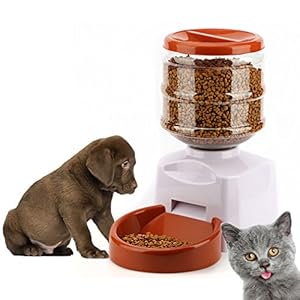 Magicpeony Alimentador Automático de Mascotas, 5,5 litros Dispensador Alimentador de Mascotas para Perros Gatos con Grabadora de Voz Alimentador de Perros y Gatos