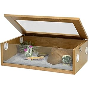 monkfield terrainium, 61x 38x 20cm, Eiche