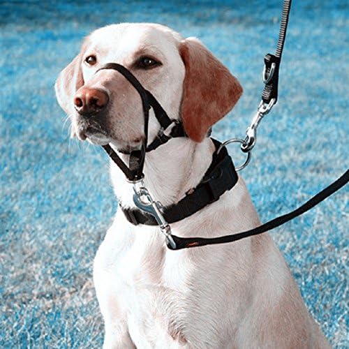 4 Sets Dog Muzzle Mouth Rope &amp; Collar Pet Collars Halter Leash Dogs Muzzles Mask &amp; Traction Rope Pets Mouth Cover Anti-biting Barking Muzzles Adjustable Dog Neck (M)