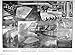 Produktbild 1925 MACMILLAN KEDLESTON ROYAL ACADEMY OF ART LONDON WATERLOO AIR LINER