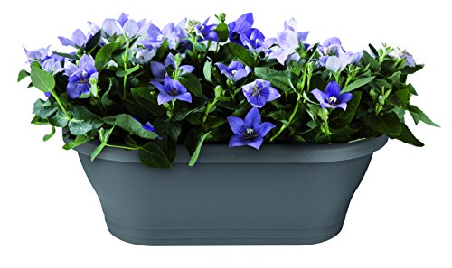 elho Corsica Wandampel 39cm – Anthrazit - 2