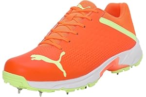PUMA Men's Spike 22.2 Cricket Shoe