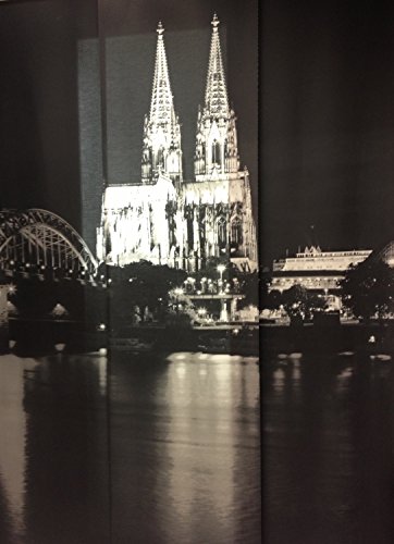 IKEA Schiebegardine Motiv "Kölner Dom" dreiteiliger Raumvorhang Schiebevorhang in 3 x 60 x 300 cm - schwarz weiß - Kölner Skyline mit Dom, Brücke und Rhein