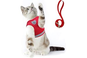 Supet Imbracatura per Gatti con Guinzaglio Gilet Riflettente in Nylon Morbido per Cani da Passeggio per Cani da Corsa Adatto a Gatti, Cuccioli, Piccoli Animali Domestici