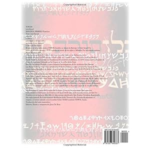 Biblia Interlineal Español Hebreo: Para Leer en Hebreo: Volume 4 (Bamidbar -Deut)