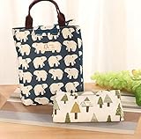 Bolsa isotermica, para asegurar una mejor conservación de los alimentos puede llevarlo a picnic