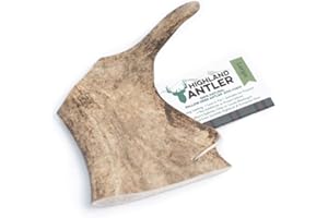 Highland Antler - Natural Fallow Antler Dog Chew. Pack of 1x Large (150g - 220g) Naturally Shed Fallow Deer Antler, Long Lasting Dog Chew Bone With Calcium And Minerals (Shape may vary)