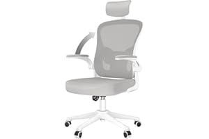 naspaluro Silla de Oficina Ergonómica, Silla de Escritorio con Soporte Lumbar, Reposacabezas Ajustable, Reposabrazos Abatibles, Silla Giratoria con Respaldo Transpirable, Gris